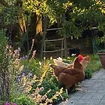 De Dromerie Bed and breakfast