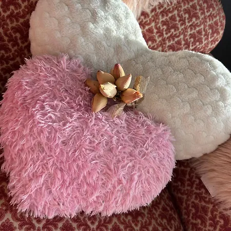 Panzió De Dromerie