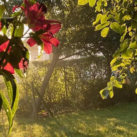 De Dromerie ミデルケルケ