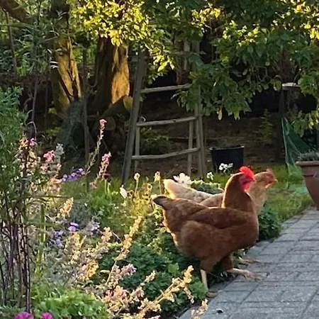 De Dromerie Bed & Breakfast