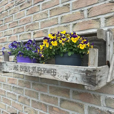 Bed & Breakfast De Dromerie