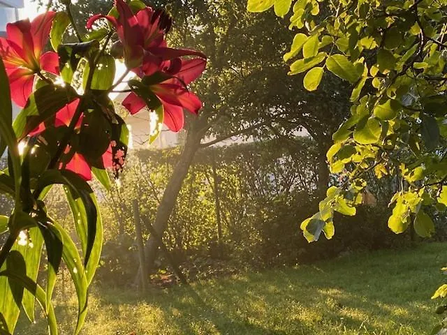 De Dromerie מידלקרק
