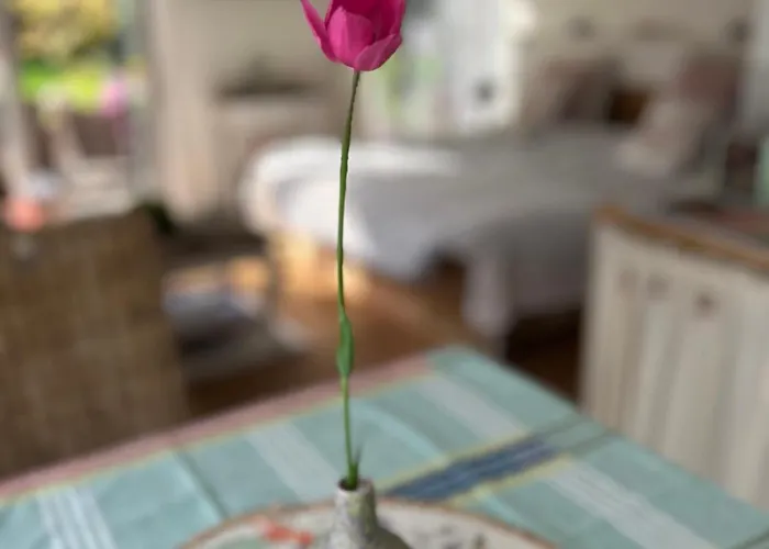 B&B De Dromerie 미들케르케